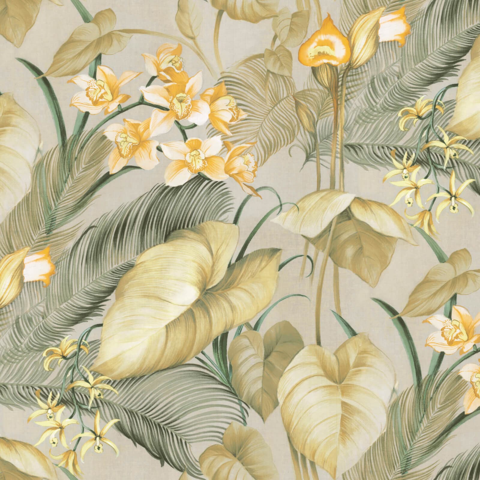 Tropicana, Z47947