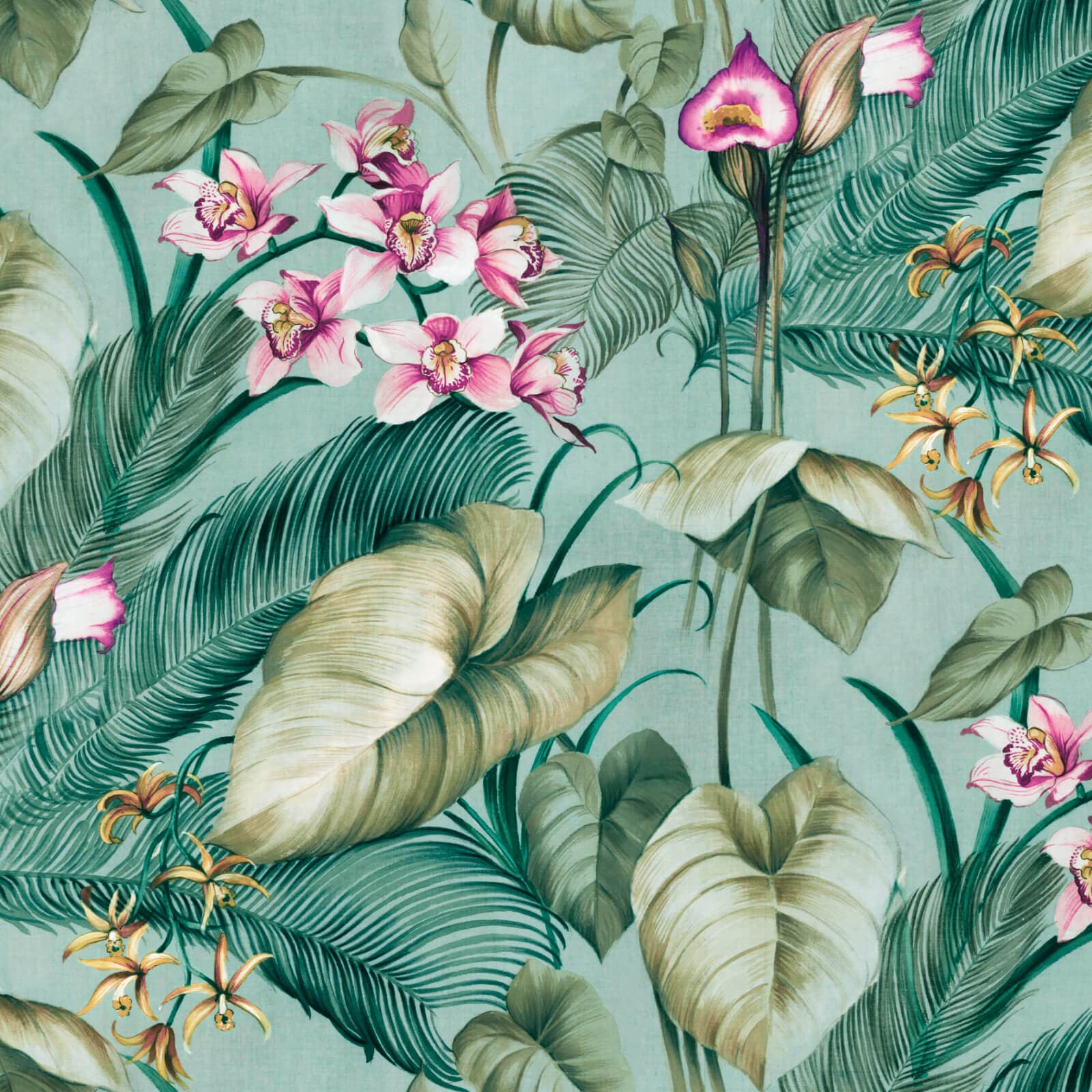 Tropicana, Z47948