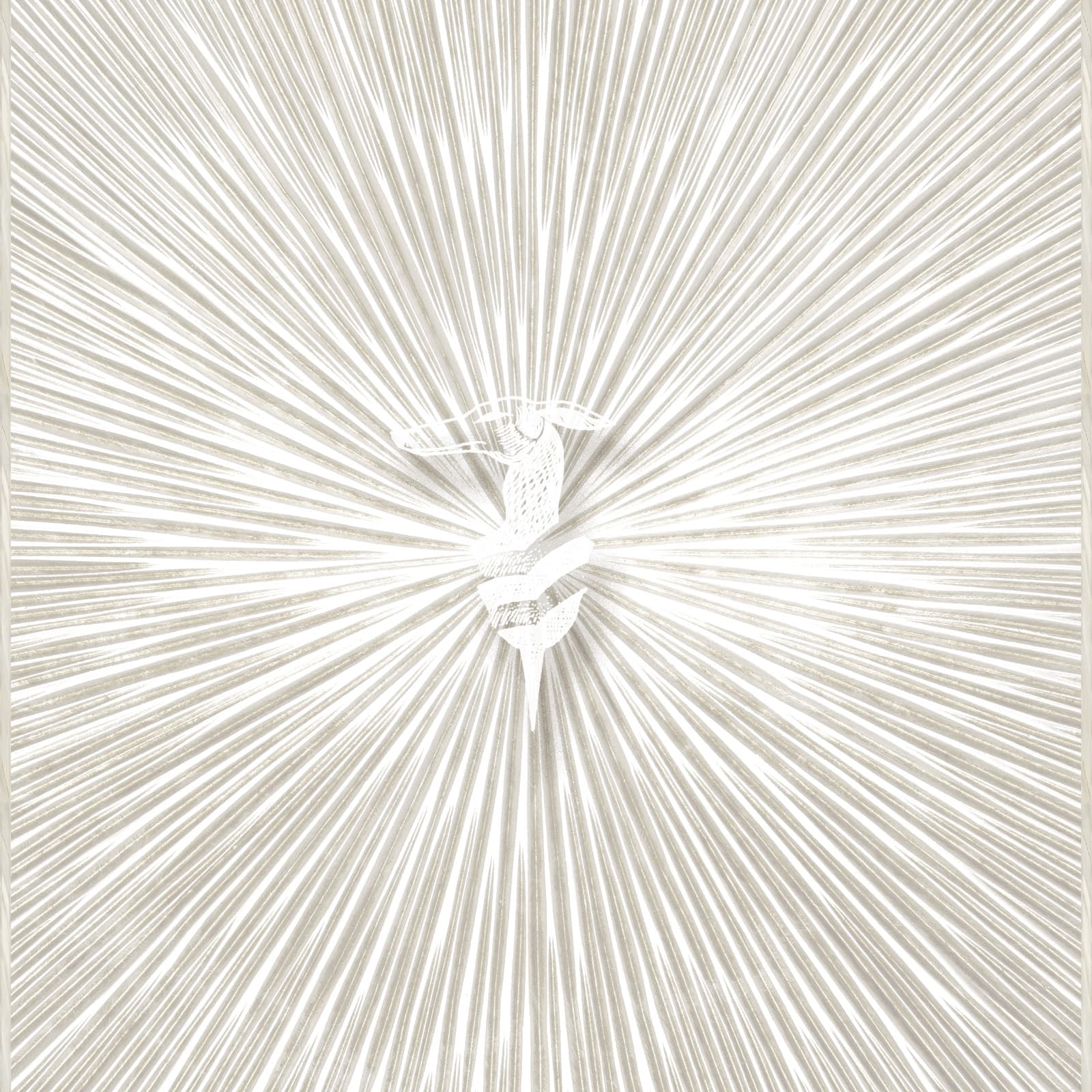 Raggi levriero by Zambaiti Parati