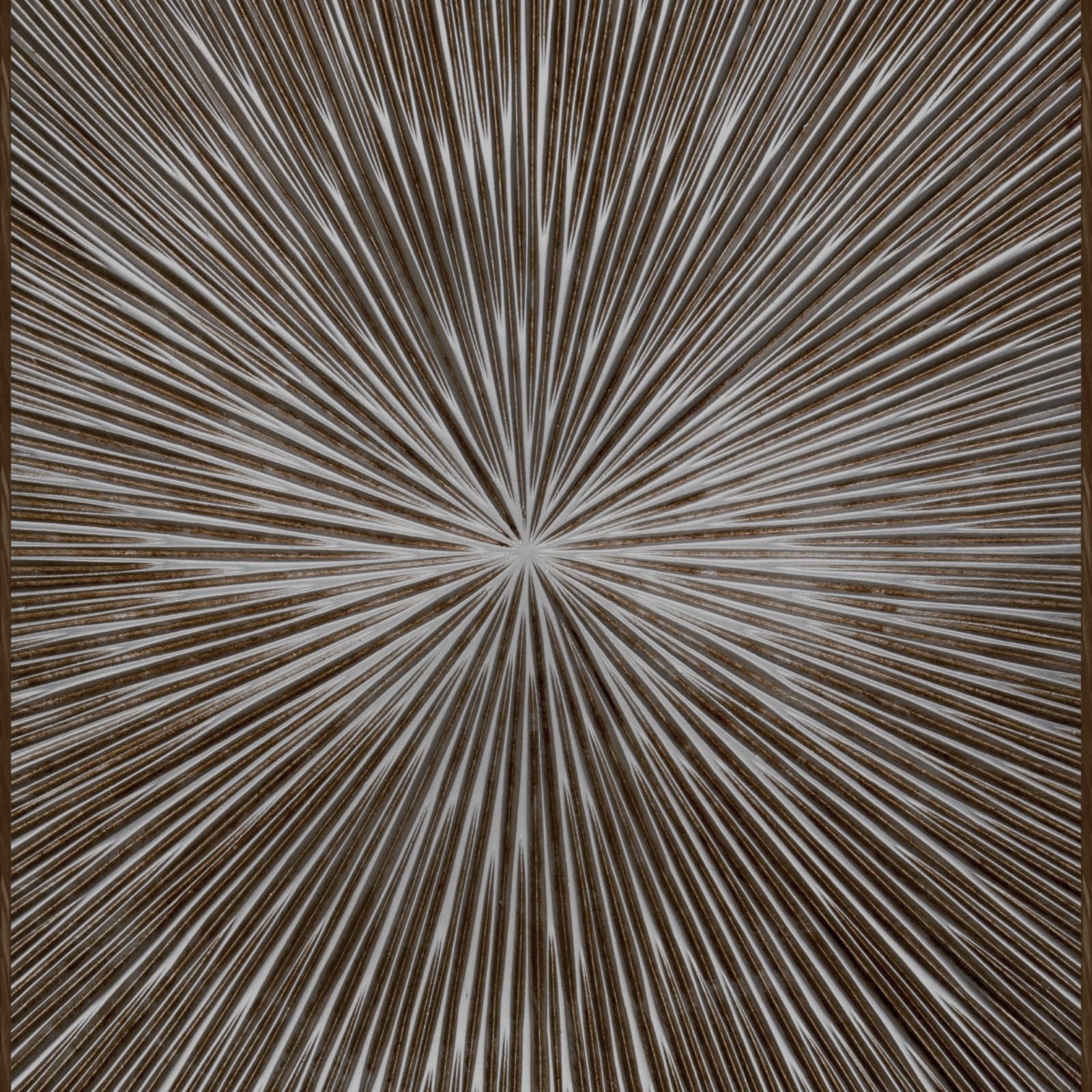 Raggi cornice by Zambaiti Parati