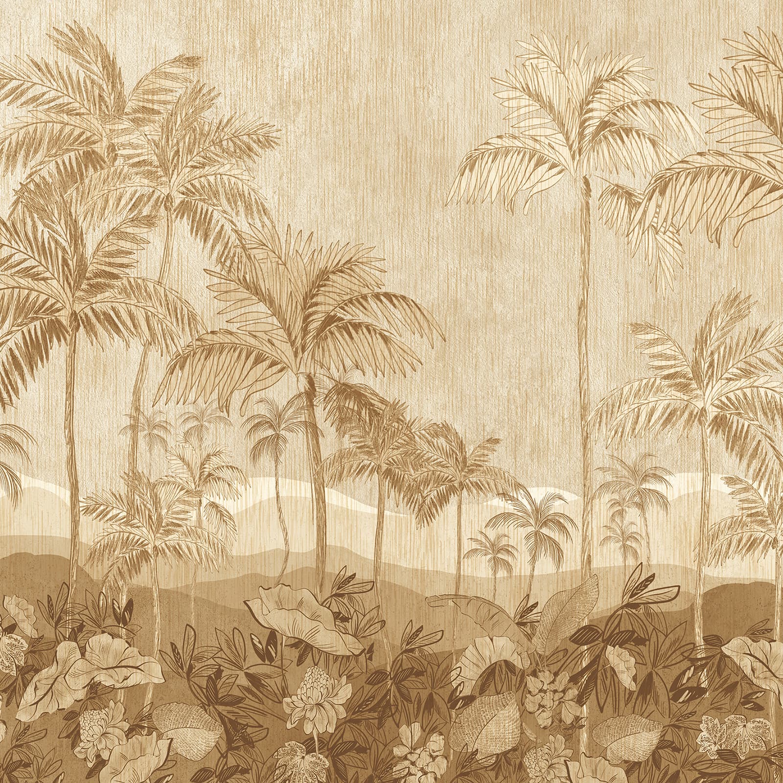 Palmeraie, Z70753