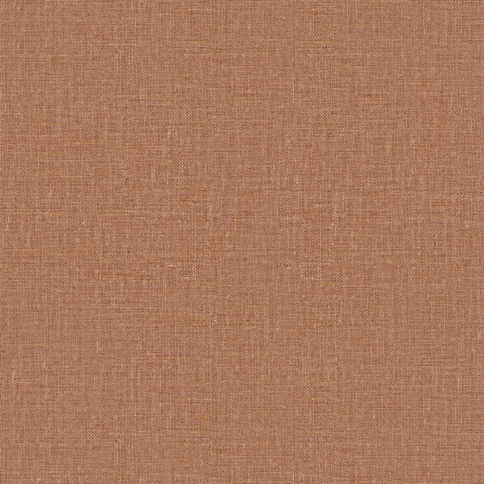 Mini Trend, Z15502