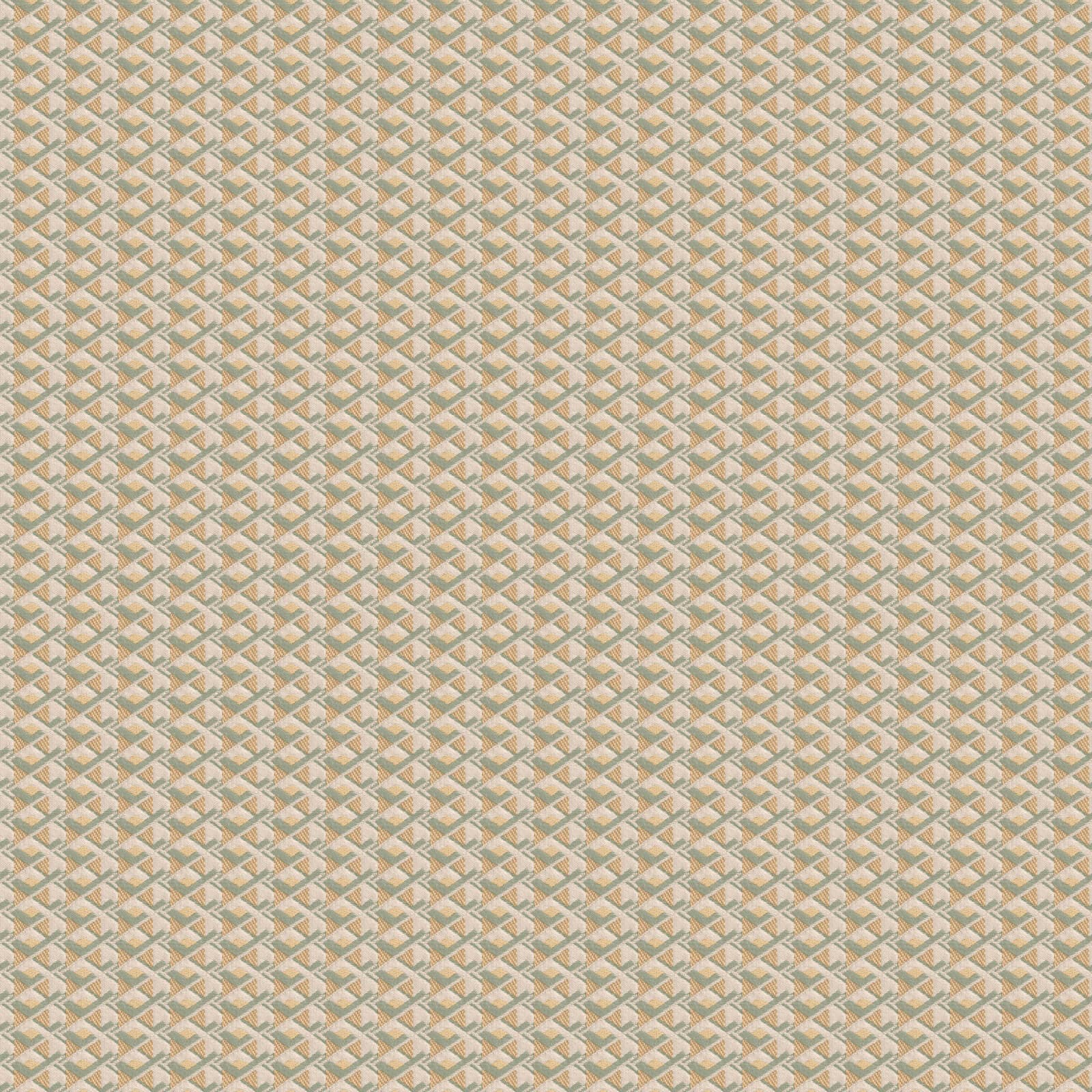 Mini Trend by Mini Trend