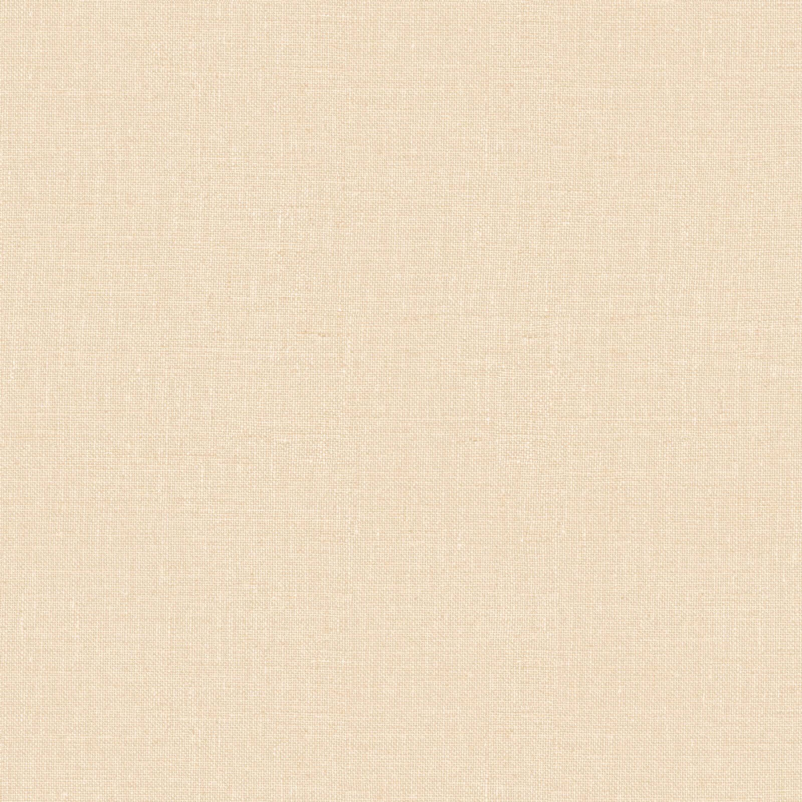 Mini Trend, Z15512