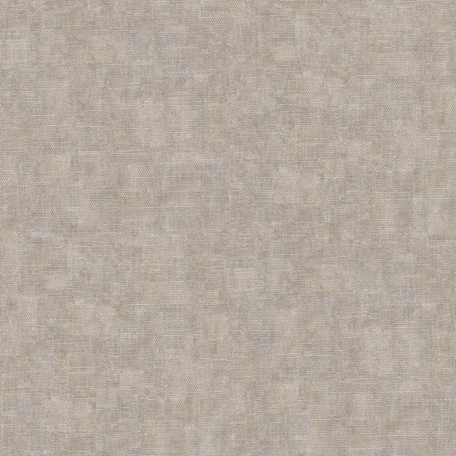 Mini Trend, Z15531