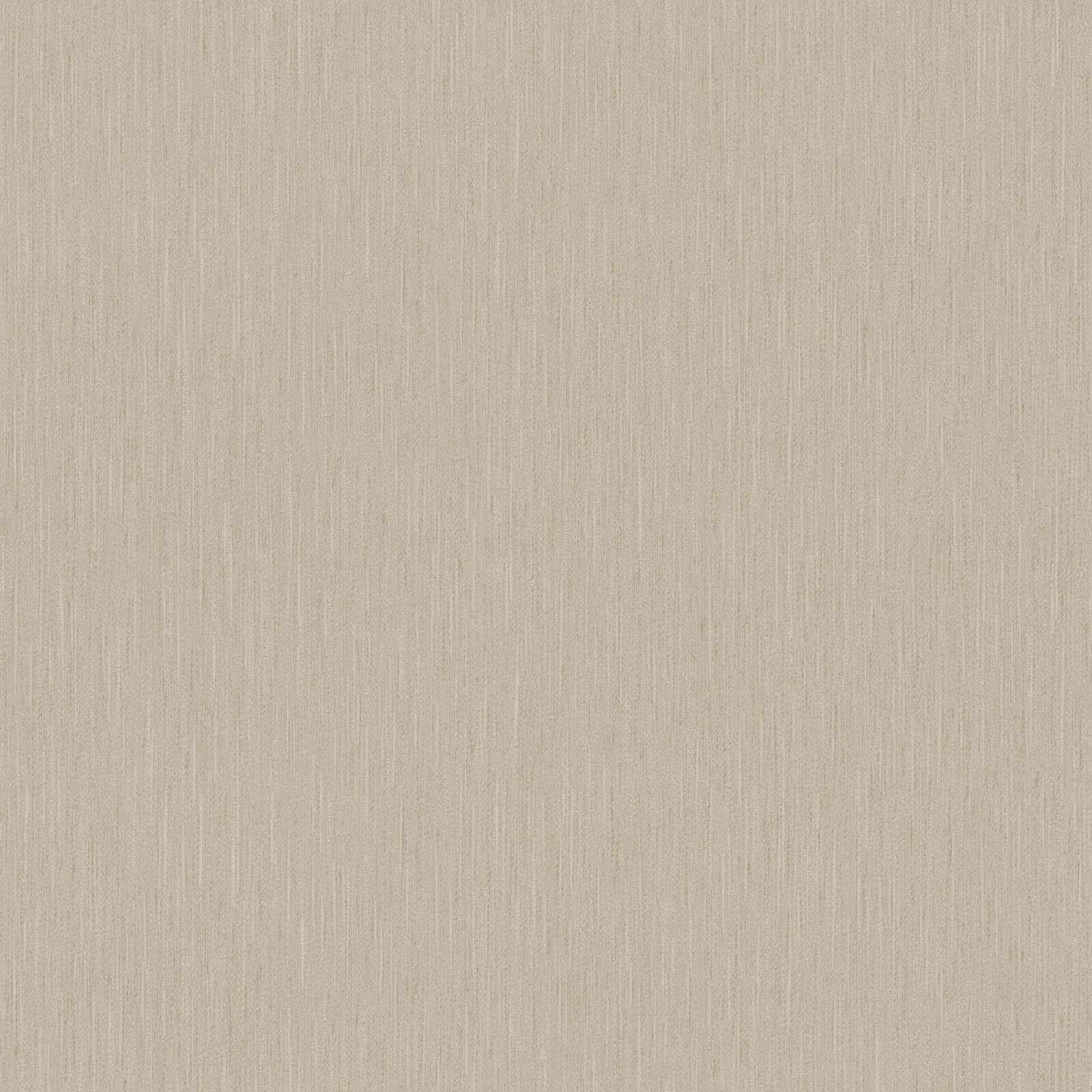 Mini Trend, Z15542