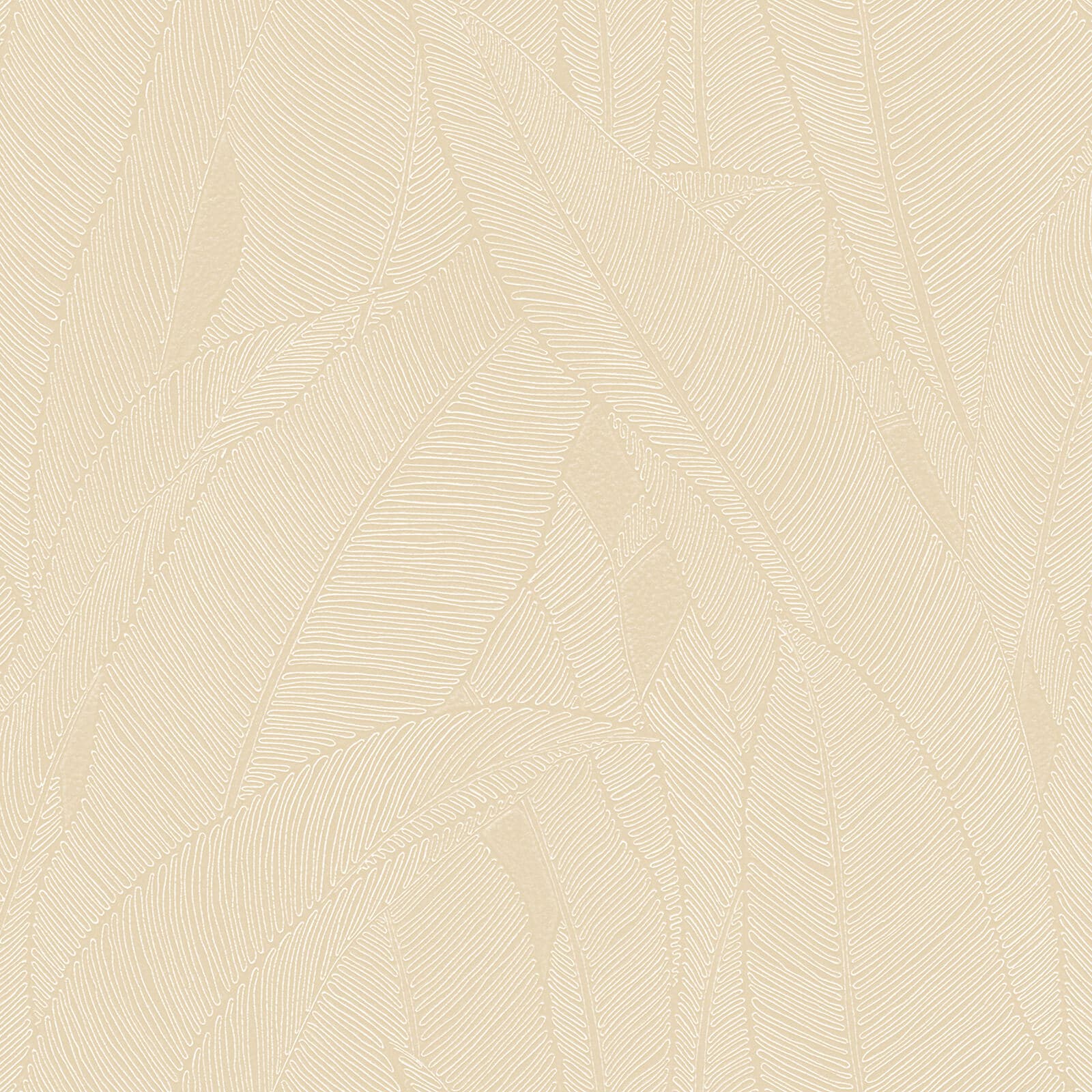 Murella 100, Z16707