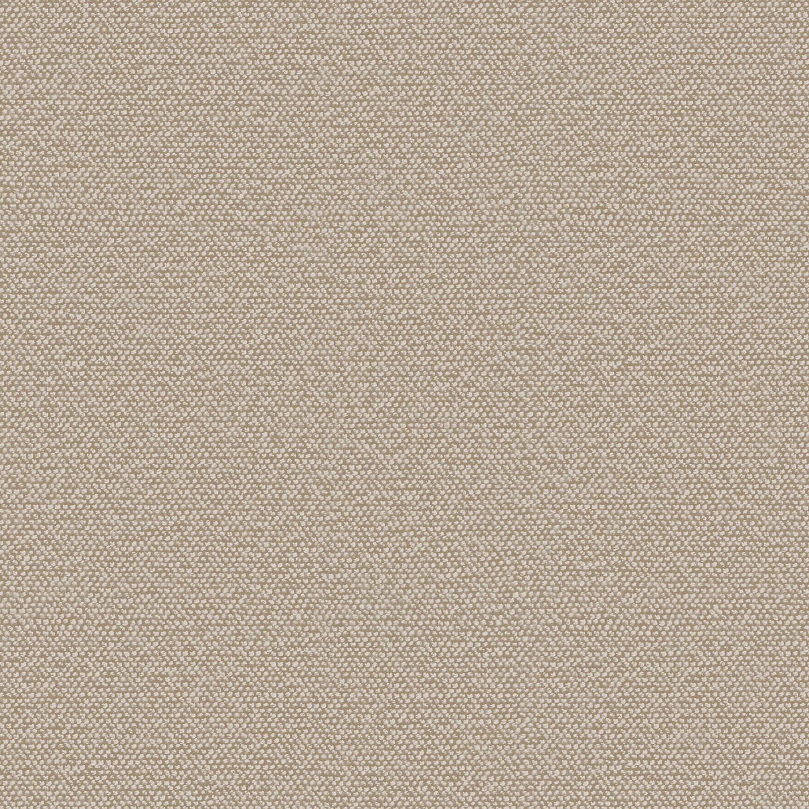 Murella 100, Z16725