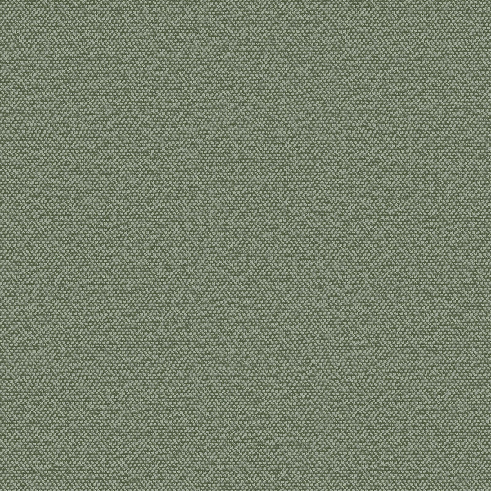 Murella 100, Z16726