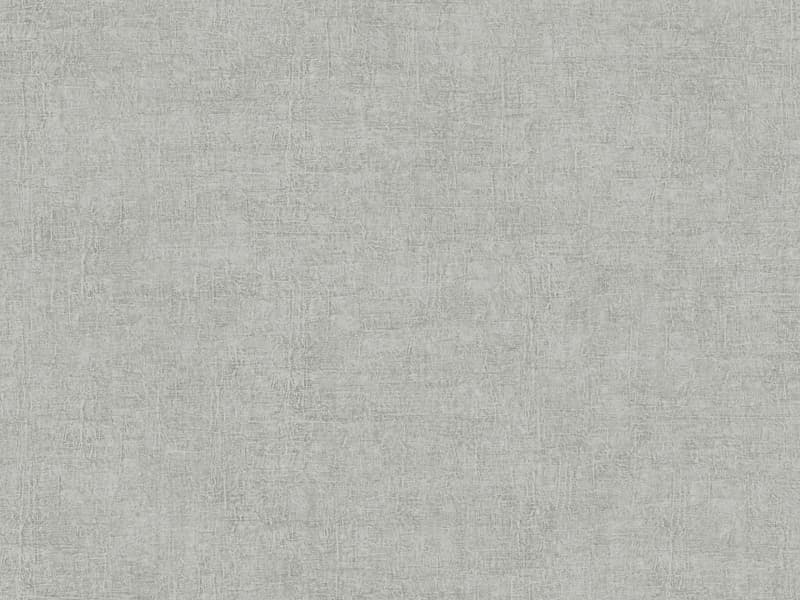 Abaca, Z40502