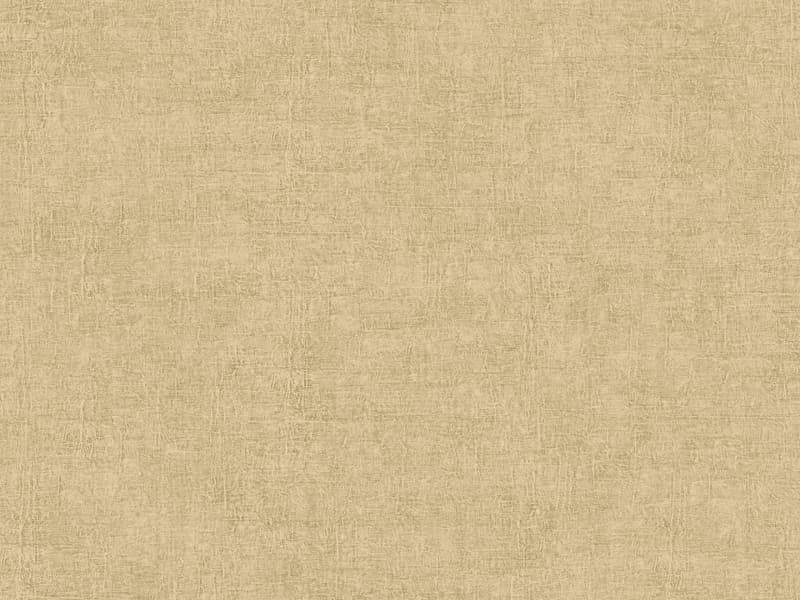 Abaca, Z40504