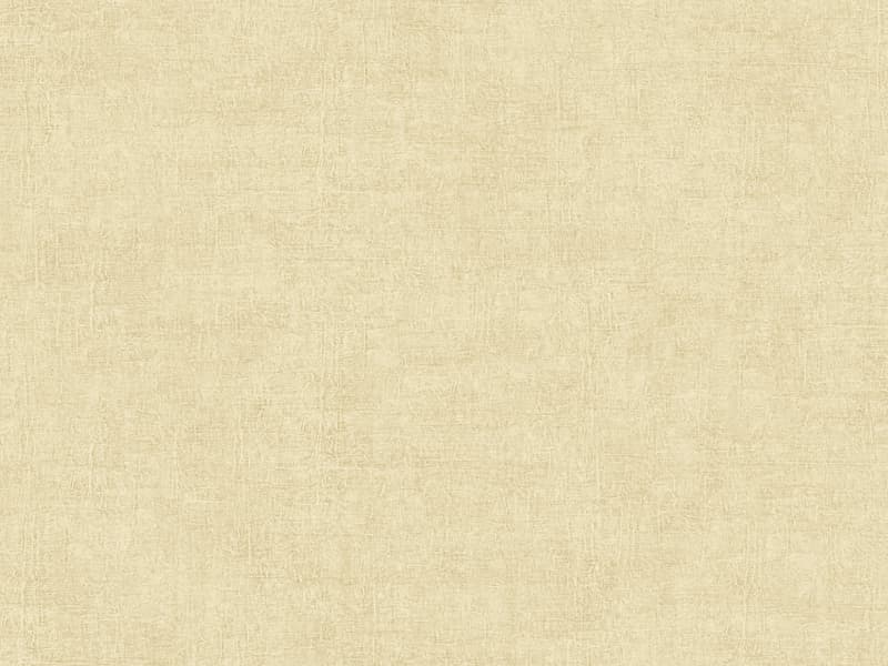 Abaca, Z40509