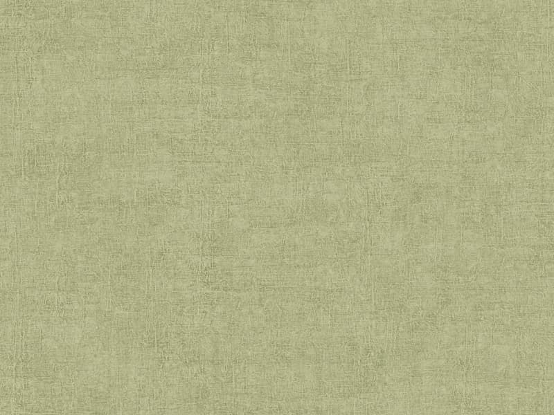 Abaca, Z40510