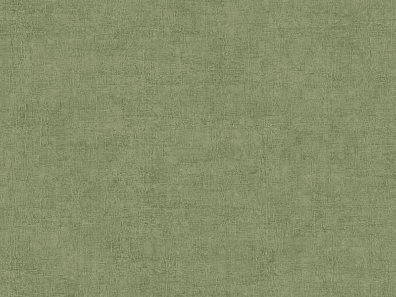 Abaca, Z40511