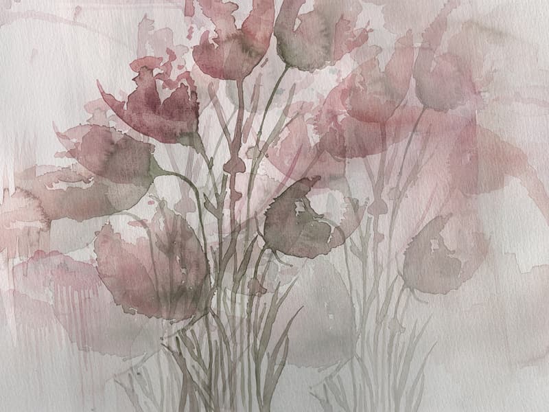 Tulipani, Z40530-1