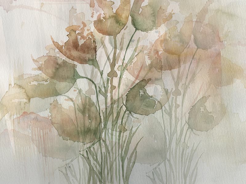 Tulipani, Z40530-3