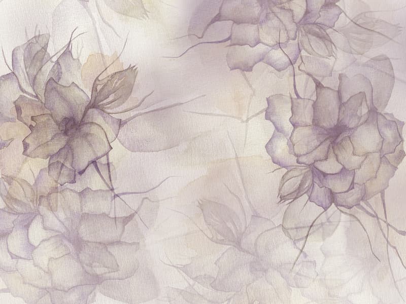 Peonia, Z40533-1
