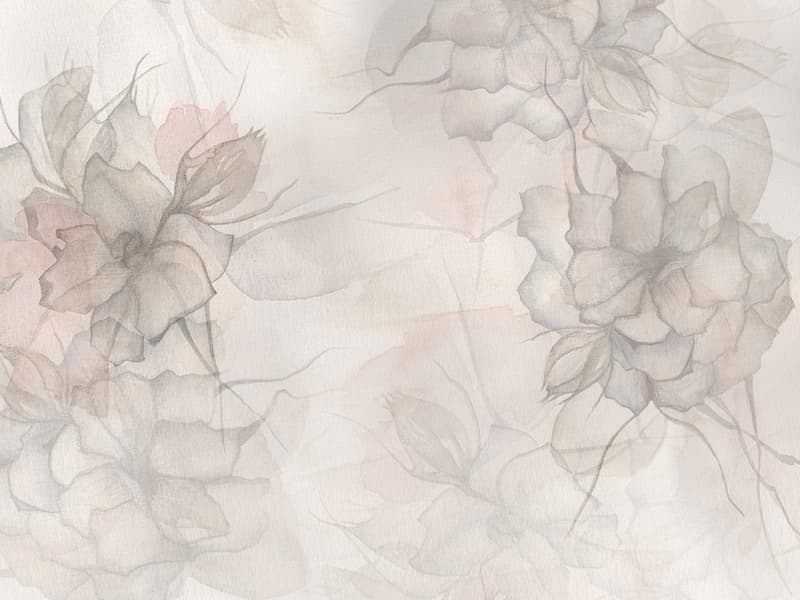 Peonia, Z40533-2