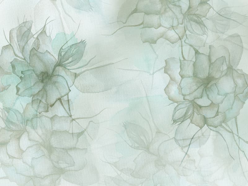 Peonia, Z40533-3