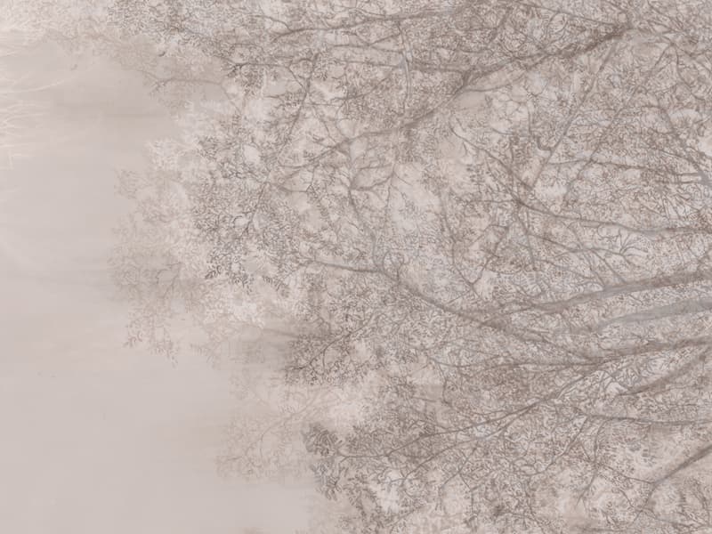 Alberi e Cielo, Z40539-2