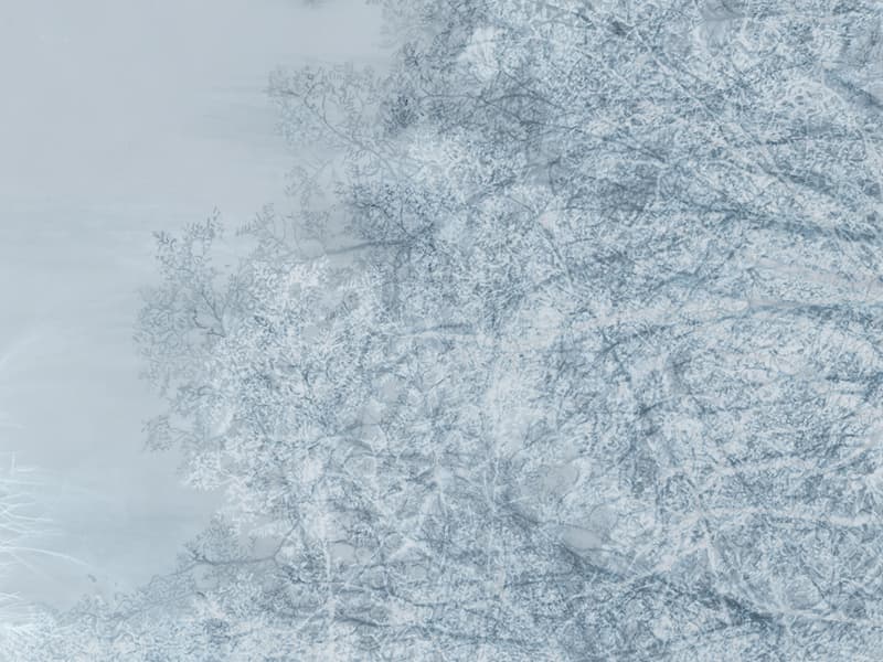 Alberi e Cielo, Z40539-3
