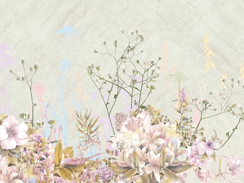 Abelia, Z66879