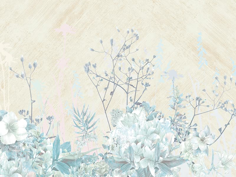 Abelia, Z66880