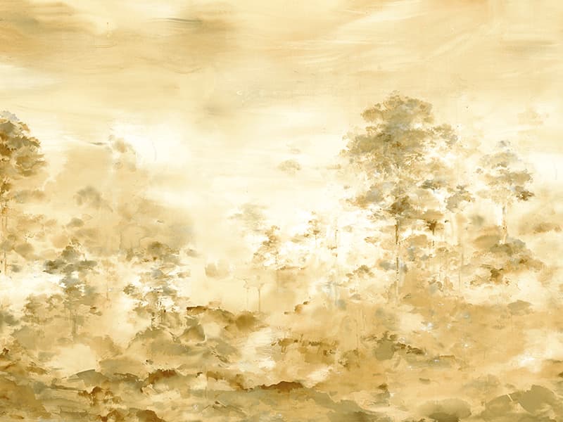 Ginkgo, Z66883