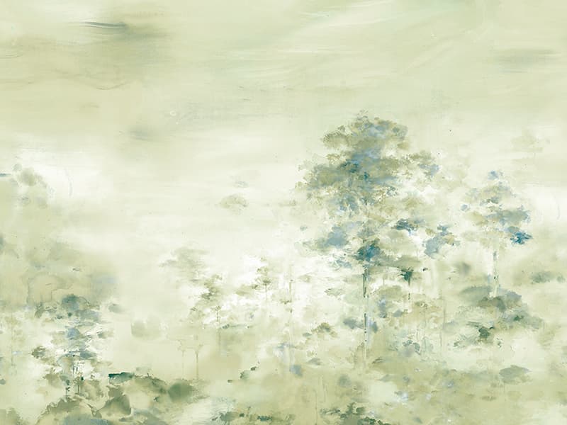 Ginkgo, Z66884