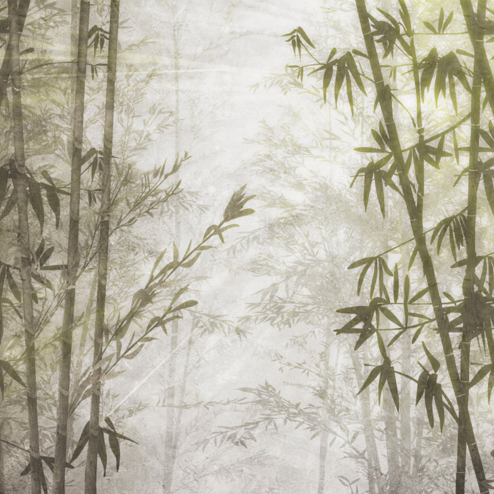 Bamboo Dorado, Z77589
