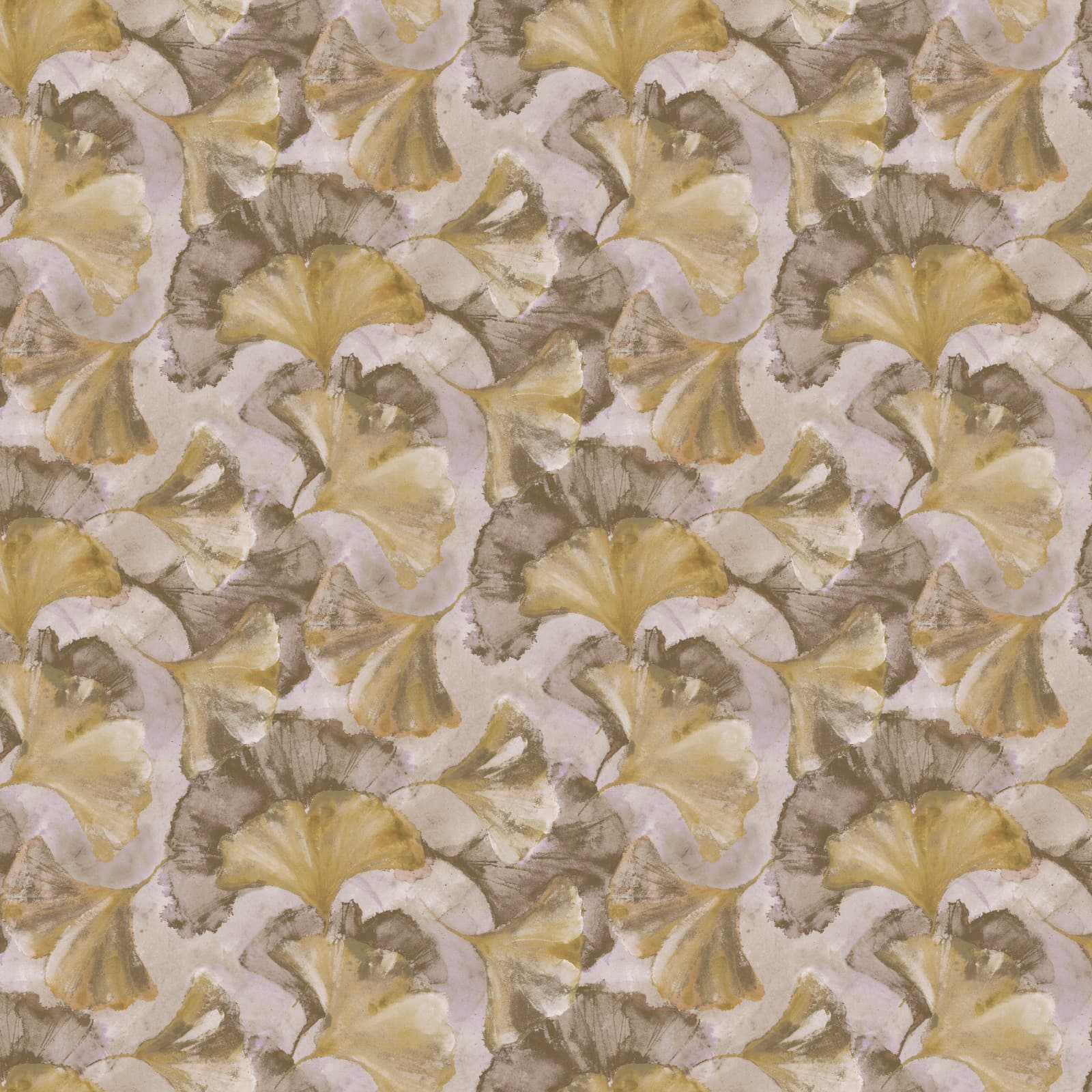 Ginkgo, Z77593