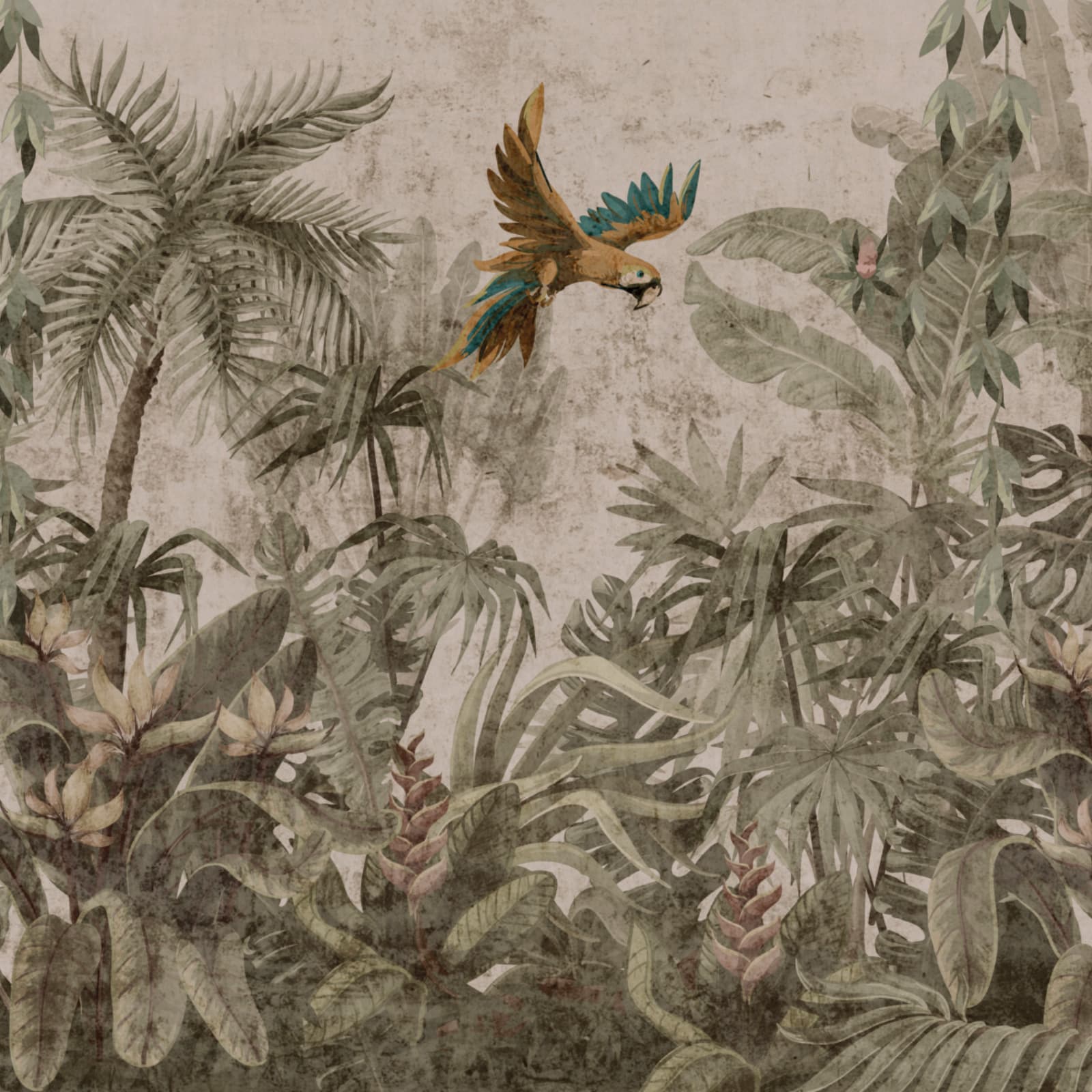 Madagascar, Z77577