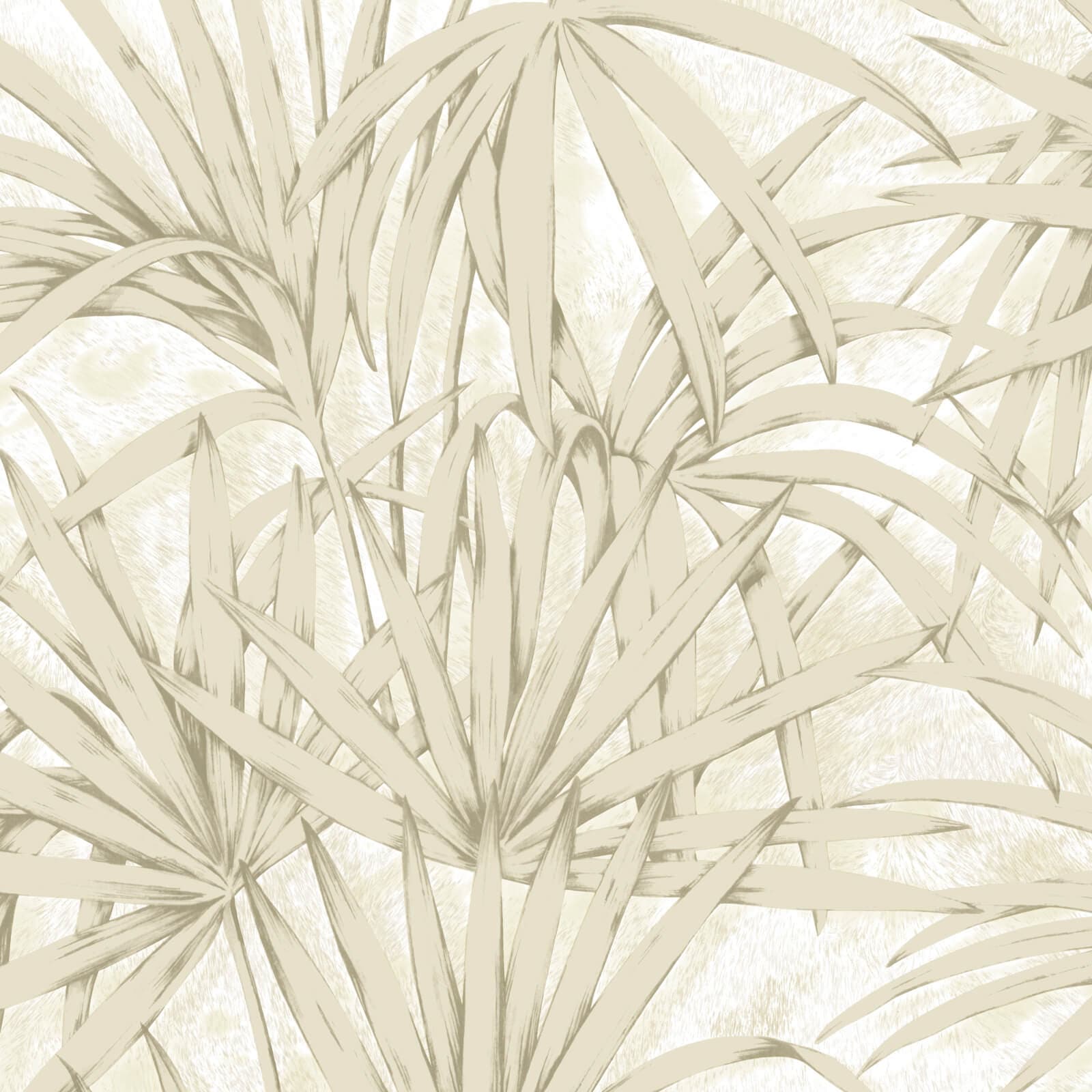 Savana, Z77546