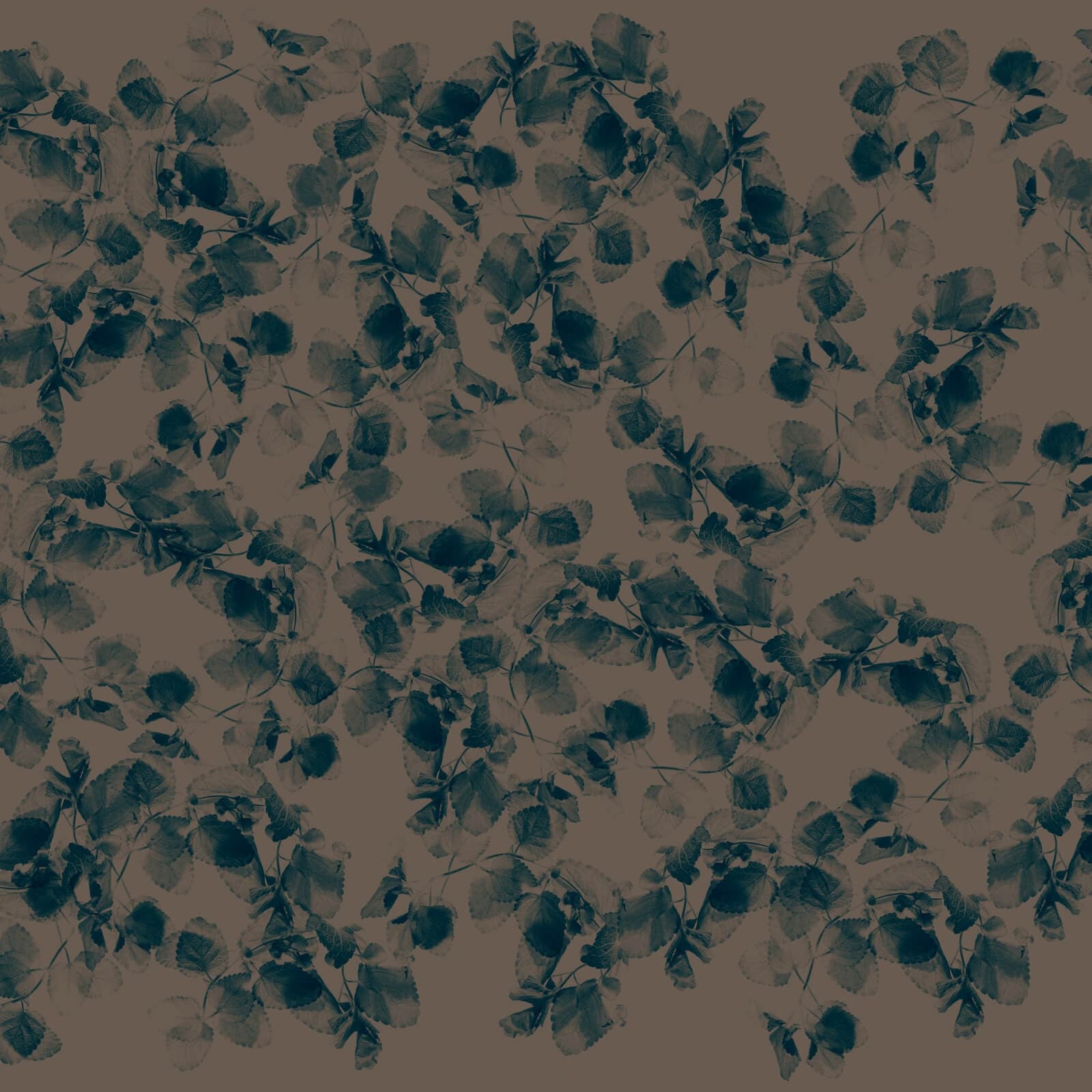 Foliage by Zambaiti Parati