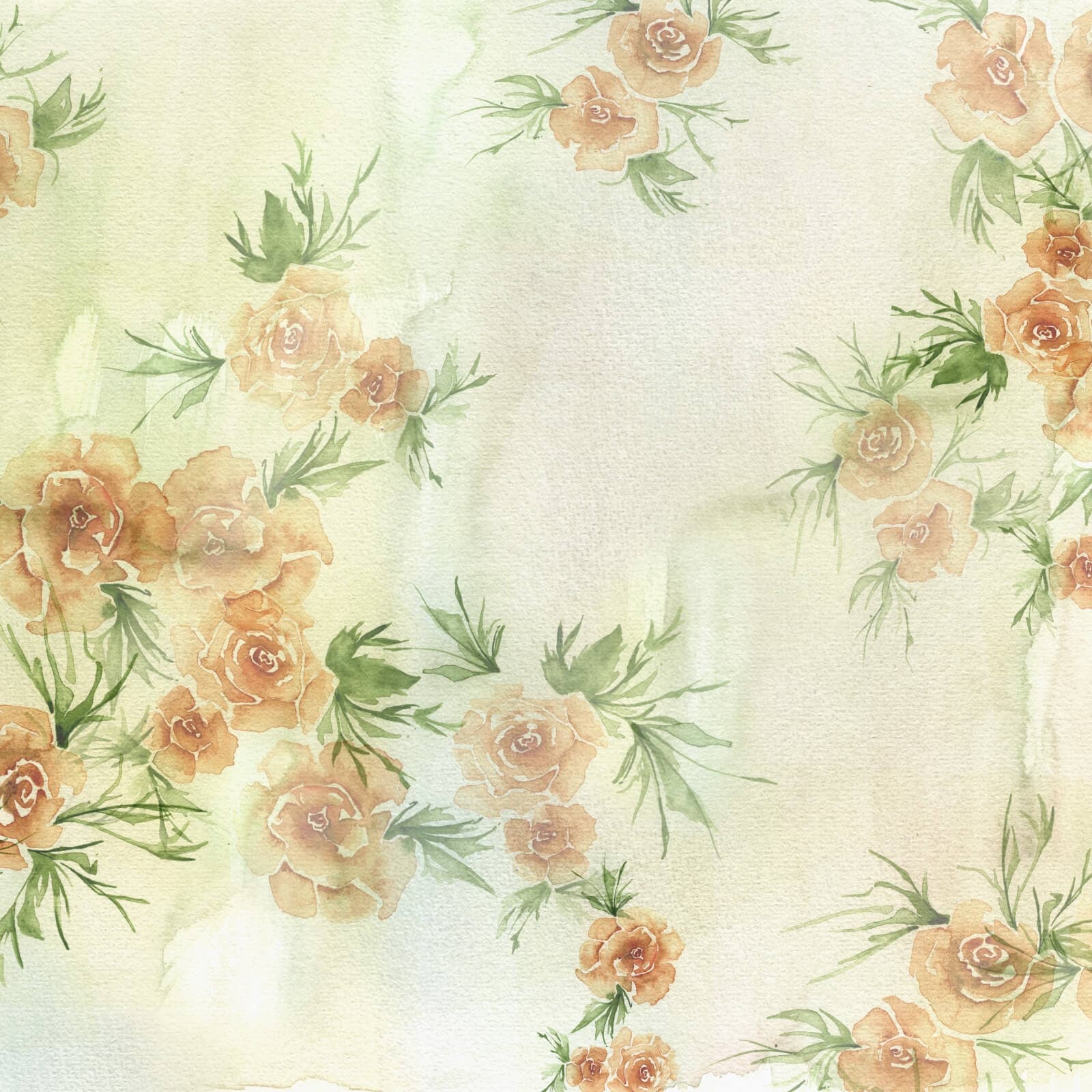 Rose by Zambaiti Parati