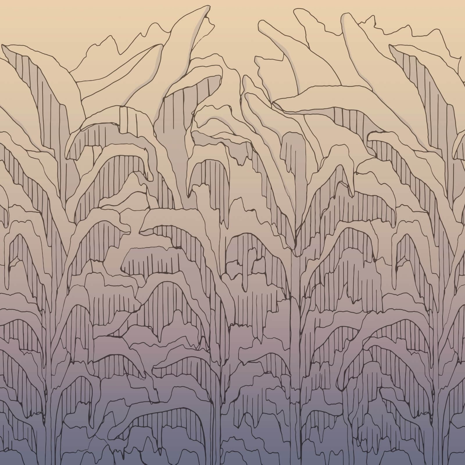 Bananarama by Zambaiti Parati