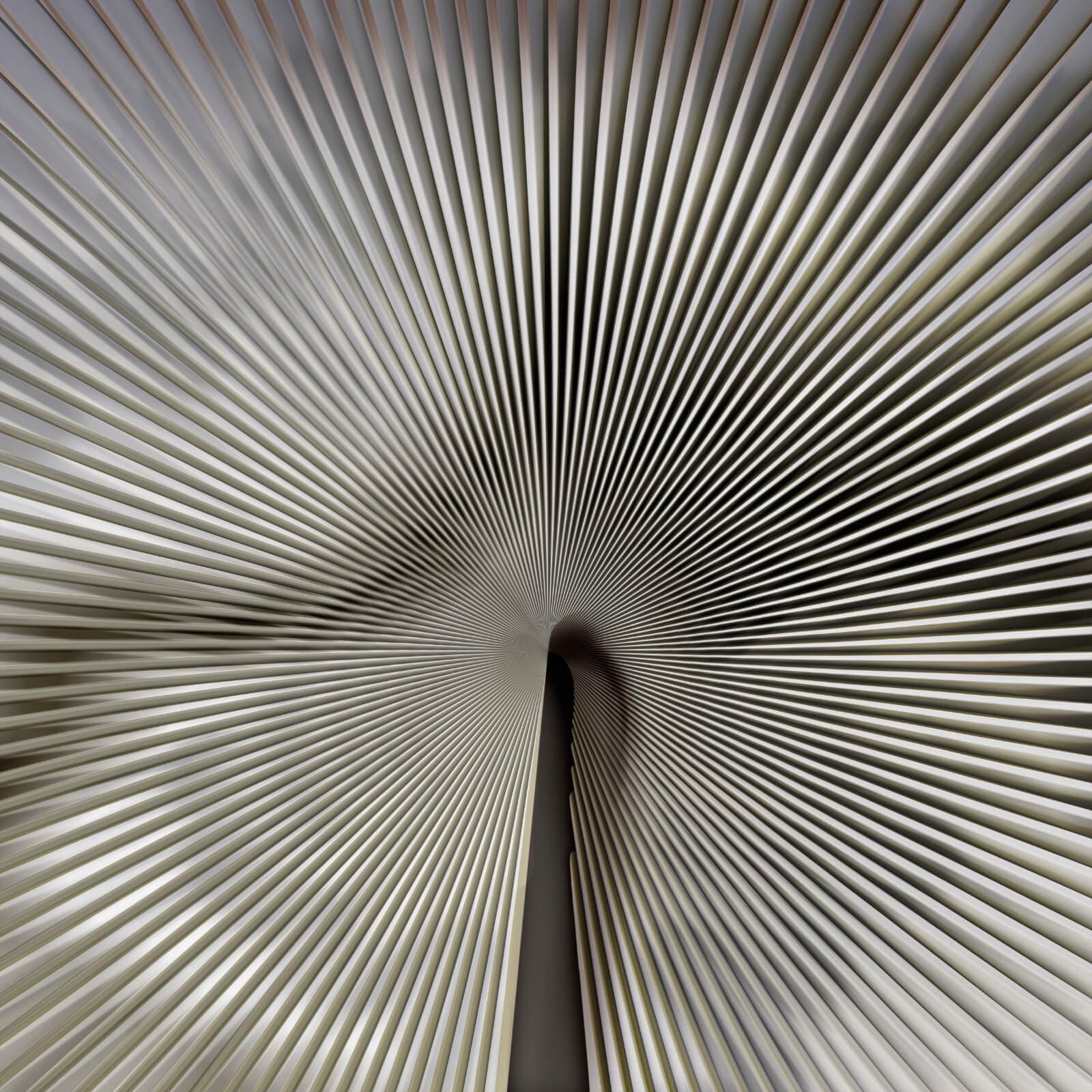 Trussardi Casa 7 by Zambaiti Parati