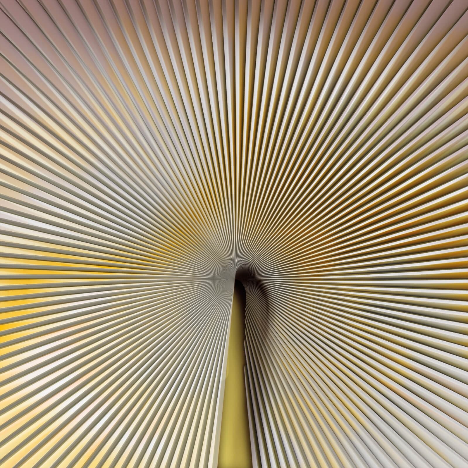 Trussardi Casa 7 by Zambaiti Parati