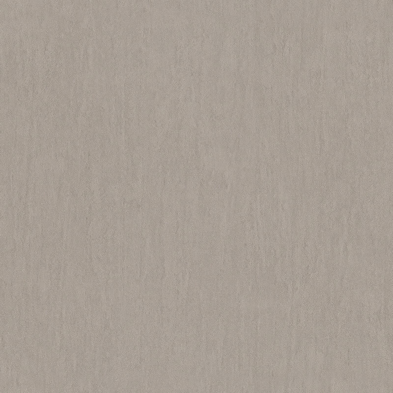 Vision, Z76019