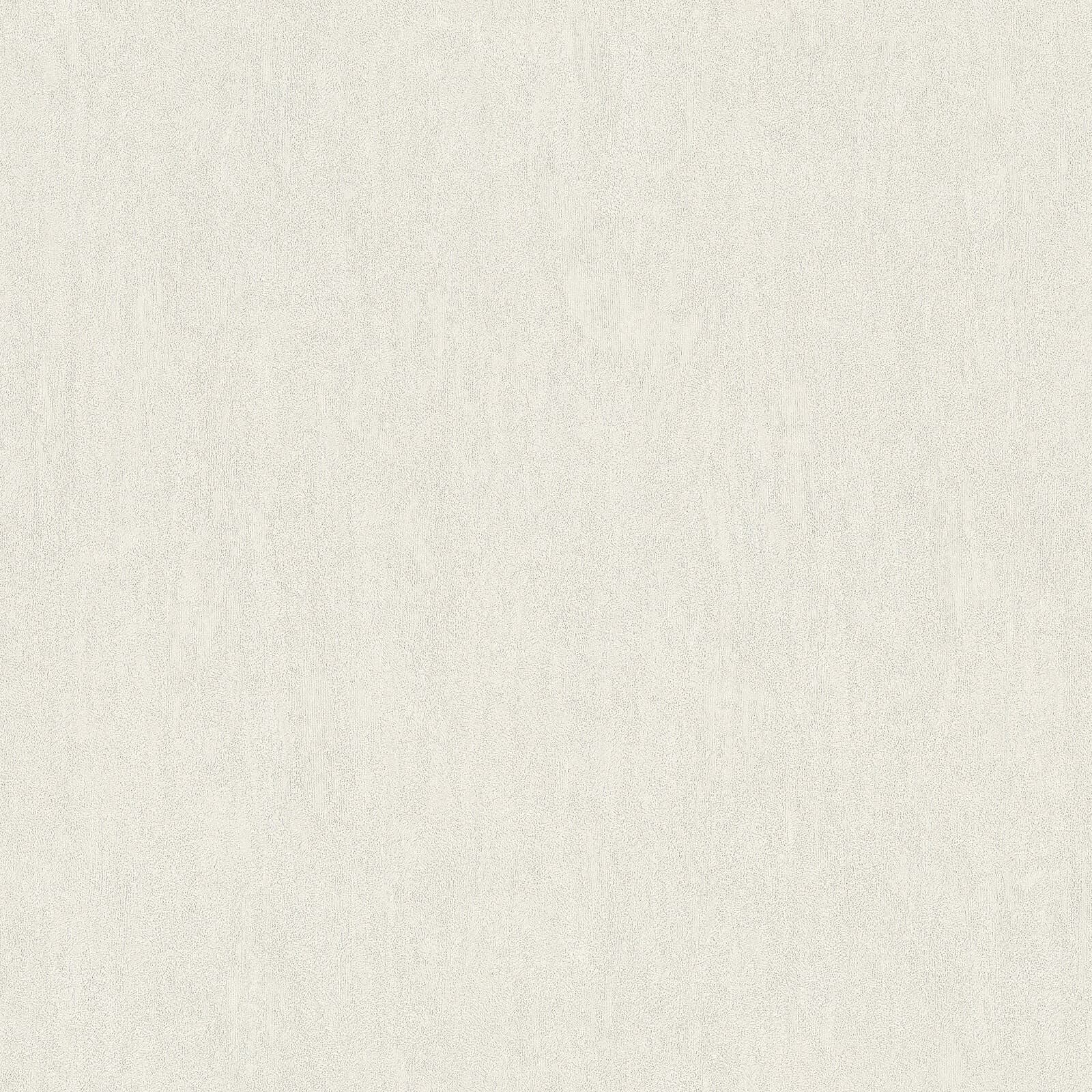 Vision, Z76028