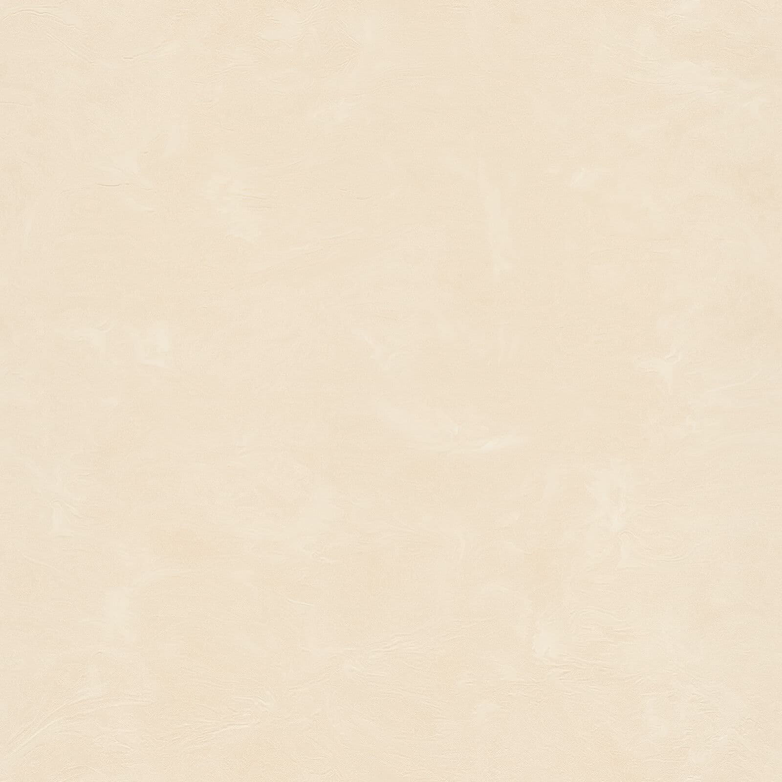 Vision, Z76033